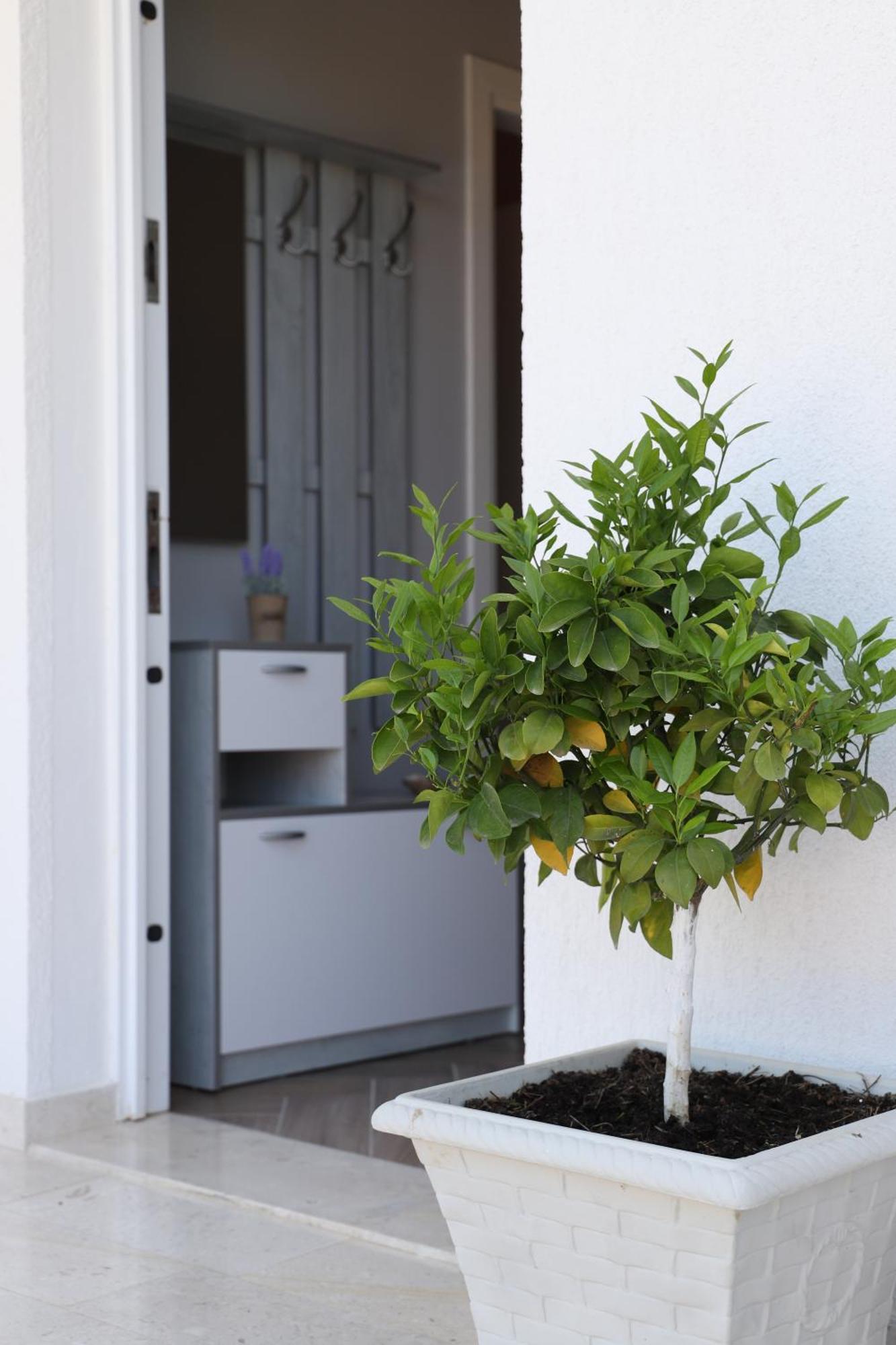 Tea Residence, Gjiri I Lalzit Apartments دراس المظهر الخارجي الصورة